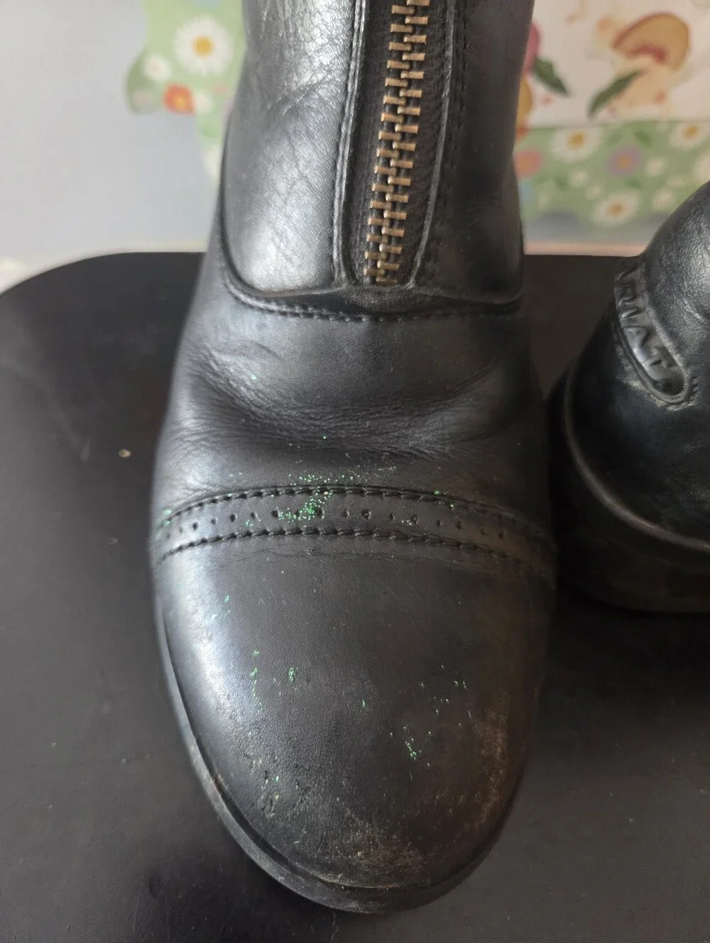Ariat paddock boots